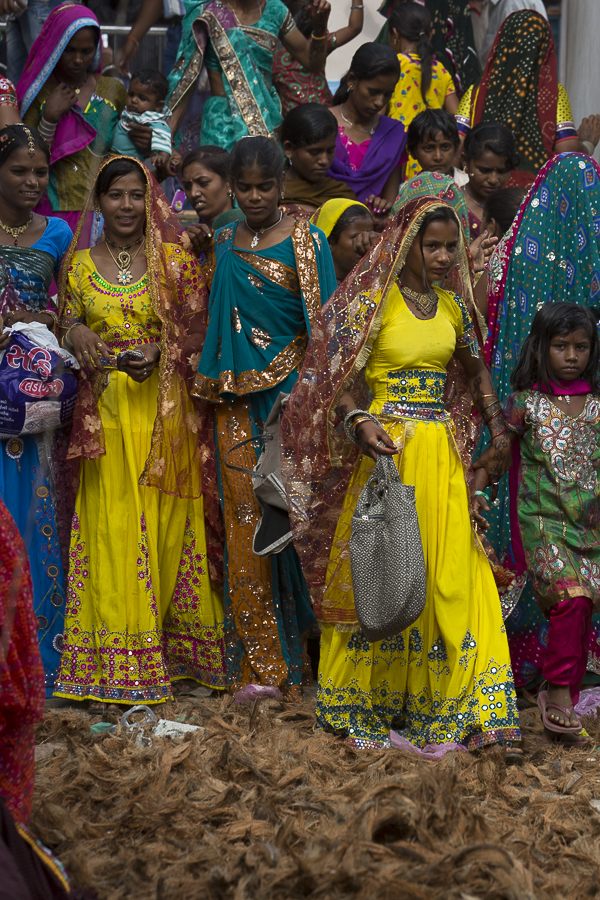 Gujarat, India