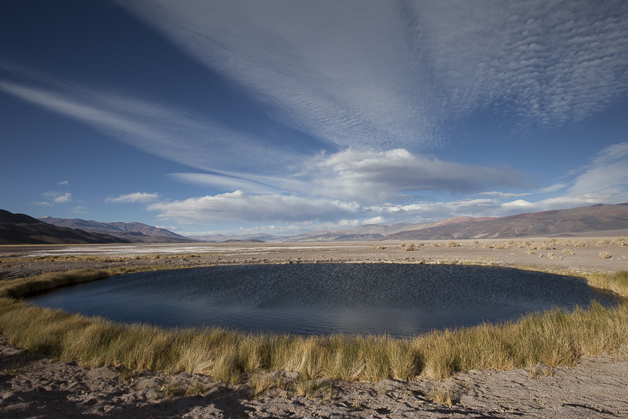 Puna de Atacama, Argentina