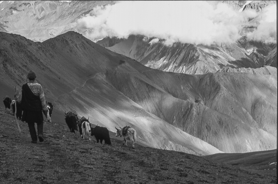 Tibet